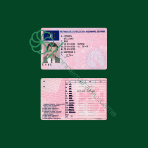 Spain Fake Driver License Template PSD Download Fully Editable File